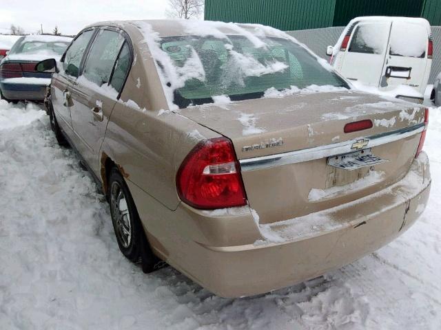 1G1ZT52885F303331 - 2005 CHEVROLET MALIBU LS 金色 照片 3