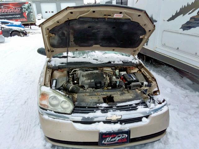 1G1ZT52885F303331 - 2005 CHEVROLET MALIBU LS 金色 照片 7