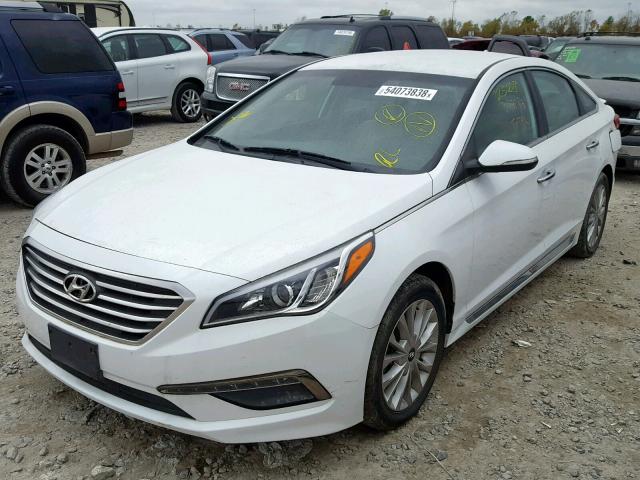 5NPE34AF8FH016871 - 2015 HYUNDAI SONATA SPO WHITE photo 2