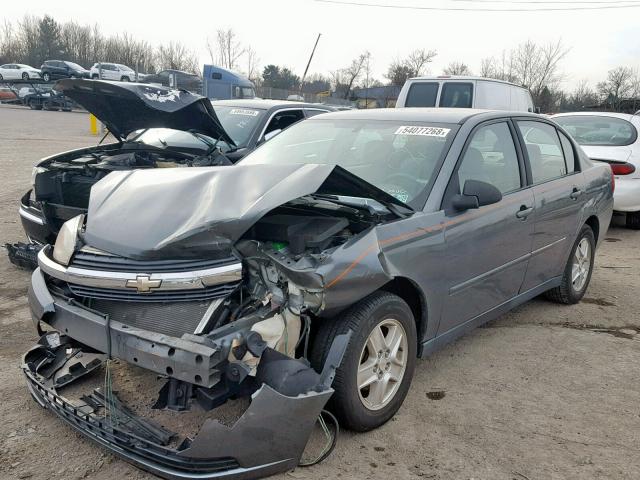 1G1ZT54874F224731 - 2004 CHEVROLET MALIBU LS GRAY photo 2