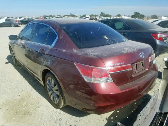 1HGCP2F34BA097448 - 2011 HONDA ACCORD LX BURGUNDY photo 3