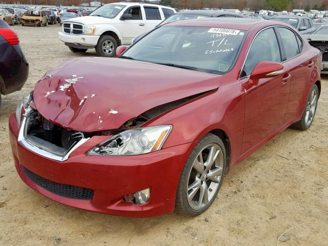 JTHBF5C25A5109073 - 2010 LEXUS IS 250 RED photo 2