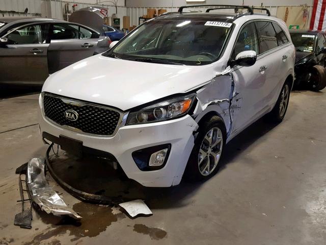 5XYPK4A52GG072915 - 2016 KIA SORENTO SX WHITE photo 2