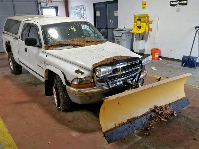 1B7GG22N4YS659133 - 2000 DODGE DAKOTA WHITE photo 1