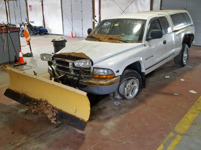 1B7GG22N4YS659133 - 2000 DODGE DAKOTA WHITE photo 2