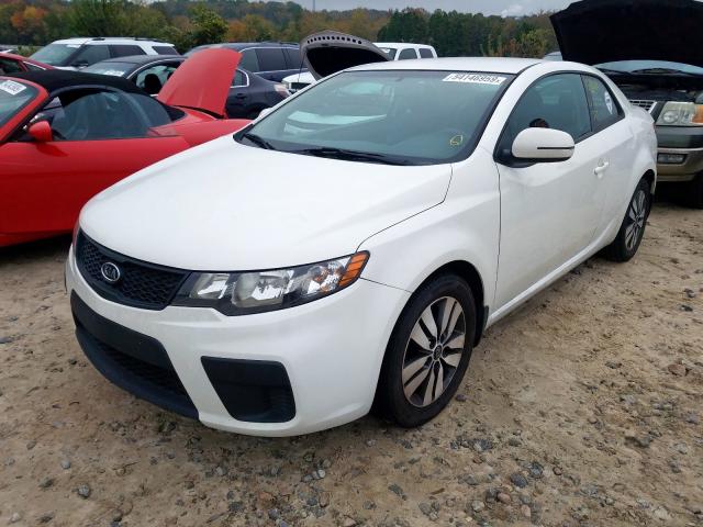 KNAFU6A20D5670171 - 2013 KIA FORTE EX WHITE photo 2