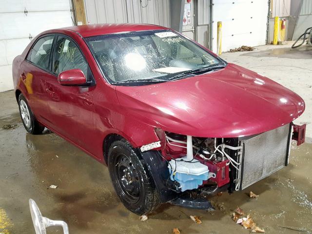 KNAFU4A23B5366690 - 2011 KIA FORTE EX RED photo 1