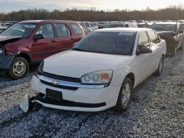 1G1ZT52805F181743 - 2005 CHEVROLET MALIBU LS 白色 照片 2
