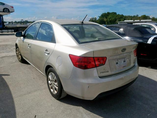 KNAFU4A2XA5164699 - 2010 KIA FORTE EX GOLD photo 3