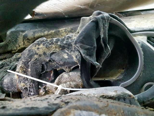 1G1ZB5STXGF287305 - 2016 CHEVROLET MALIBU LS BLUE photo 8