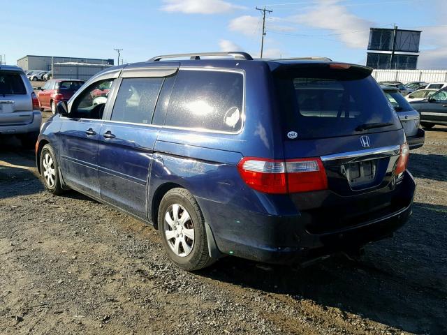 5FNRL38885B112886 - 2005 HONDA ODYSSEY TO BLUE photo 3