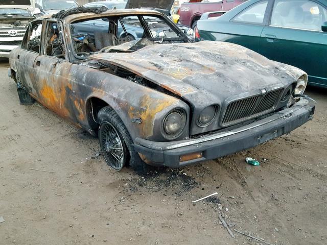 NAVNNBRUNVEH1CLE11 - 1985 JAGUAR XJ6 VANDEN BURN photo 1