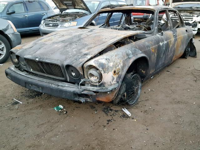 NAVNNBRUNVEH1CLE11 - 1985 JAGUAR XJ6 VANDEN BURN photo 2