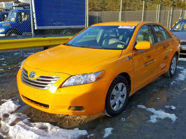 4T1BB46K09U071915 - 2009 TOYOTA CAMRY HYBR YELLOW photo 2