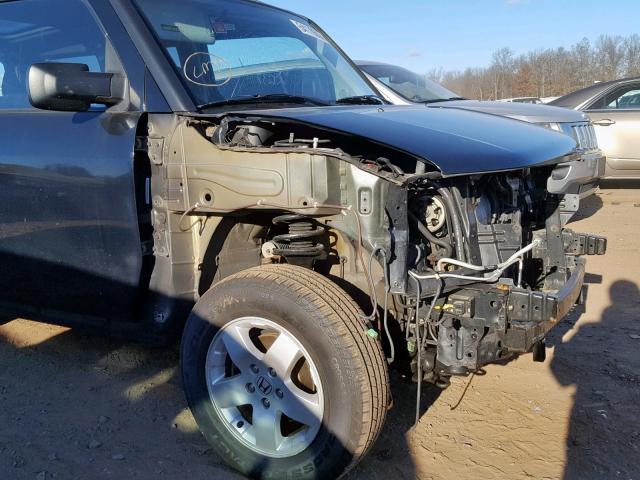 5J6YH28543L050761 - 2003 HONDA ELEMENT EX BLACK photo 9