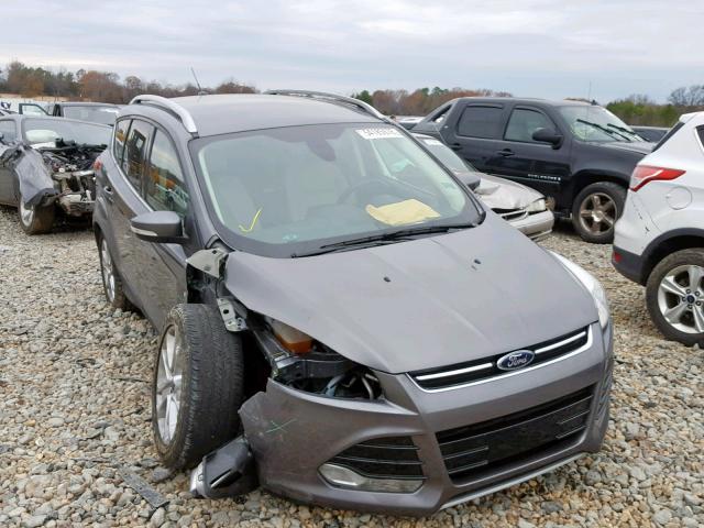 1FMCU0JX8EUA66742 - 2014 FORD ESCAPE TIT GRAY photo 1