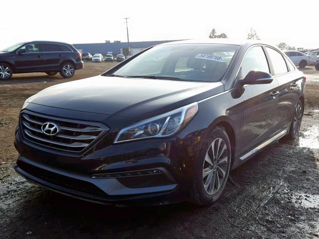 5NPE34AF4FH020433 - 2015 HYUNDAI SONATA SPO BLACK photo 2