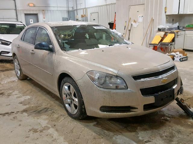 1G1ZB5EB5AF279509 - 2010 CHEVROLET MALIBU LS 金色 照片 1