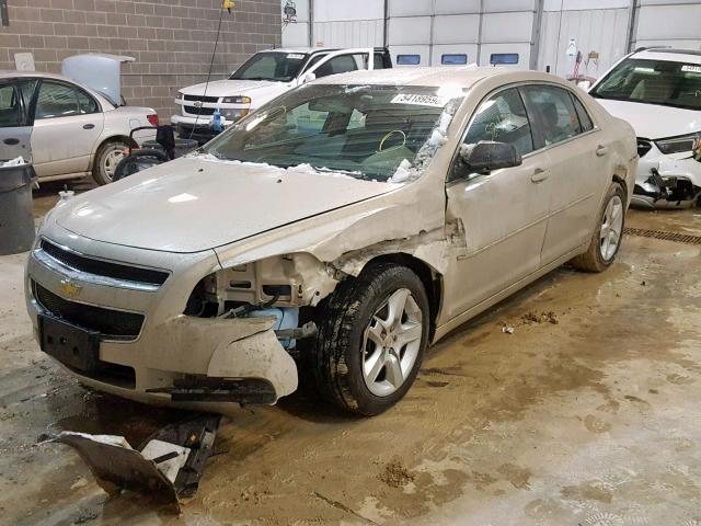1G1ZB5EB5AF279509 - 2010 CHEVROLET MALIBU LS 金色 照片 9