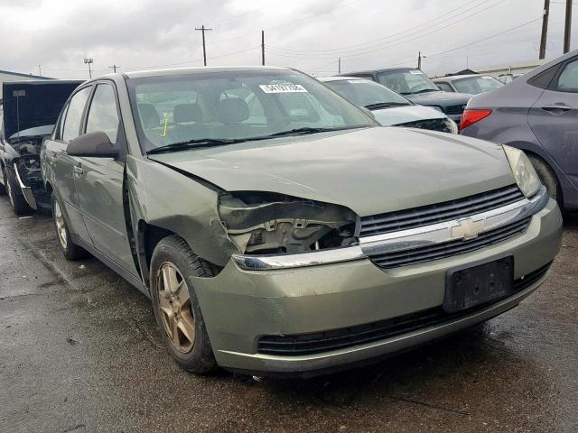 1G1ZT54824F239198 - 2004 CHEVROLET MALIBU LS Yaşıl foto 1