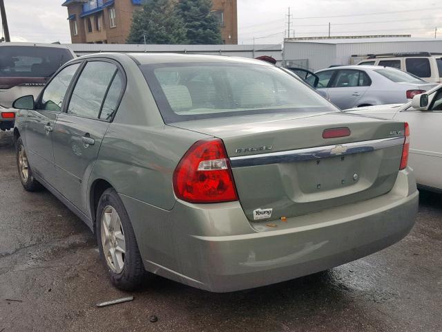 1G1ZT54824F239198 - 2004 CHEVROLET MALIBU LS Yaşıl foto 3
