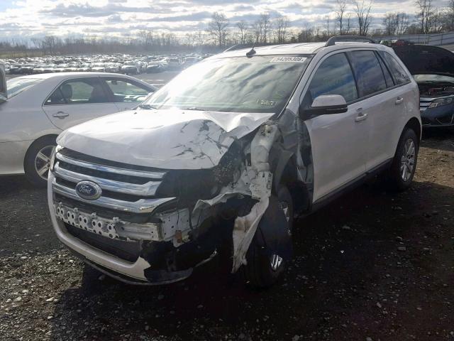 2FMDK4JC1EBB34075 - 2014 FORD EDGE SEL WHITE photo 2