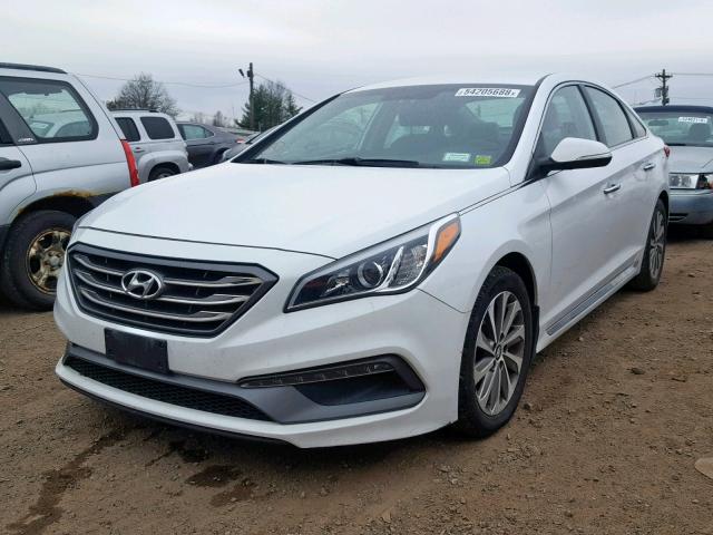 5NPE34AF7FH192973 - 2015 HYUNDAI SONATA SPO WHITE photo 2