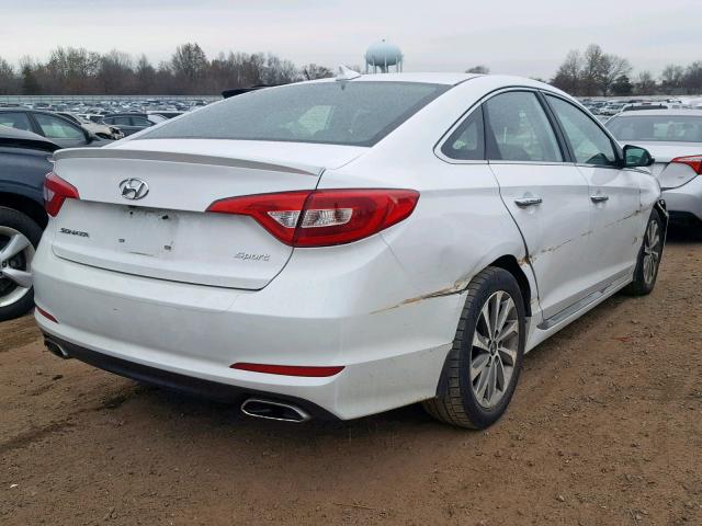 5NPE34AF7FH192973 - 2015 HYUNDAI SONATA SPO WHITE photo 4