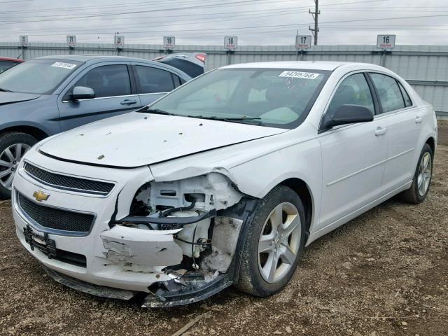 1G1ZB5EB0AF316983 - 2010 CHEVROLET MALIBU LS 白色 照片 2