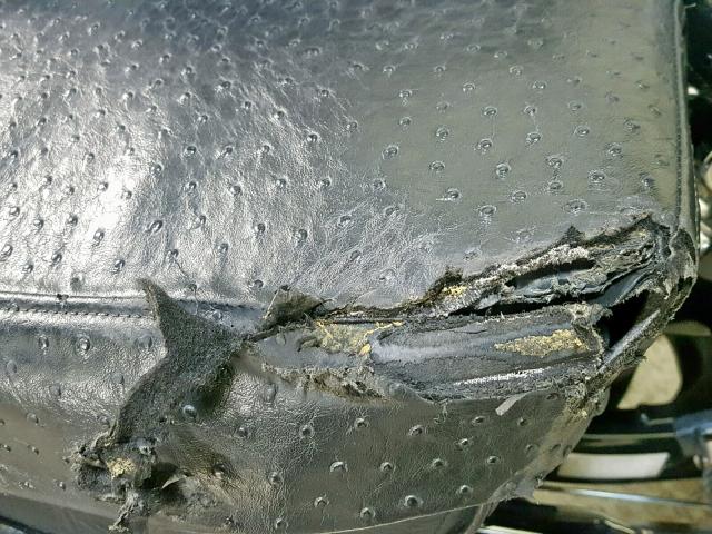 JH2RC44353M700093 - 2003 HONDA VT750 CDA 黑色 照片 17