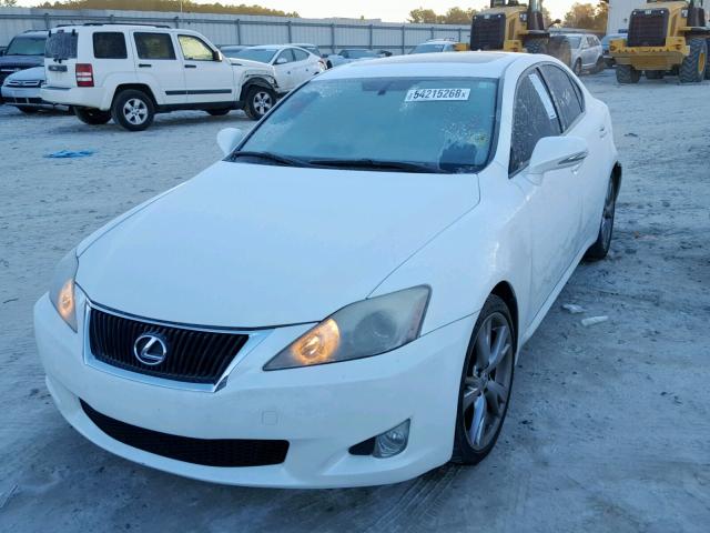 JTHBF5C22A2096719 - 2010 LEXUS IS 250 WHITE photo 2