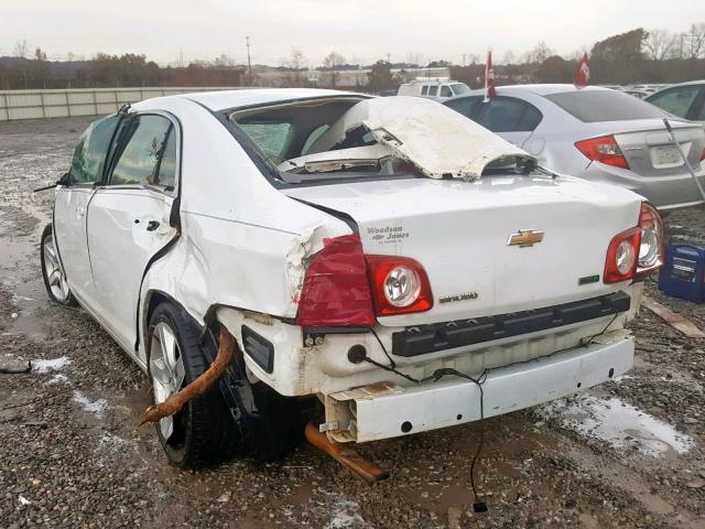 1G1ZA5EU0BF123240 - 2011 CHEVROLET MALIBU LS 白色 照片 3