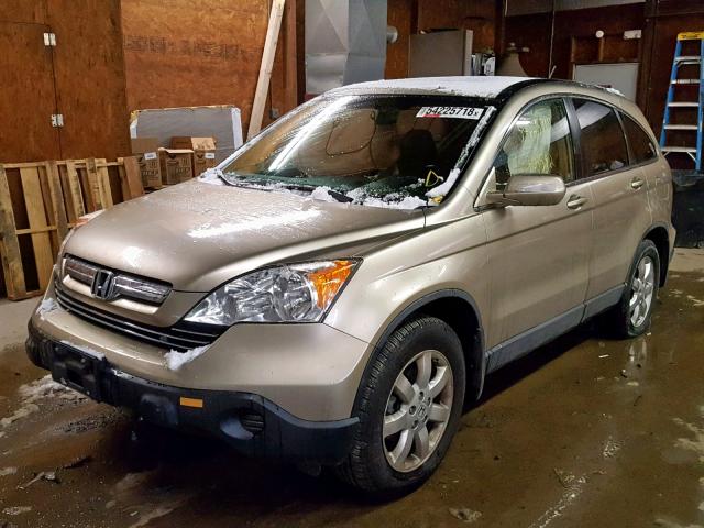 JHLRE48737C018568 - 2007 HONDA CR-V EXL GOLD photo 2