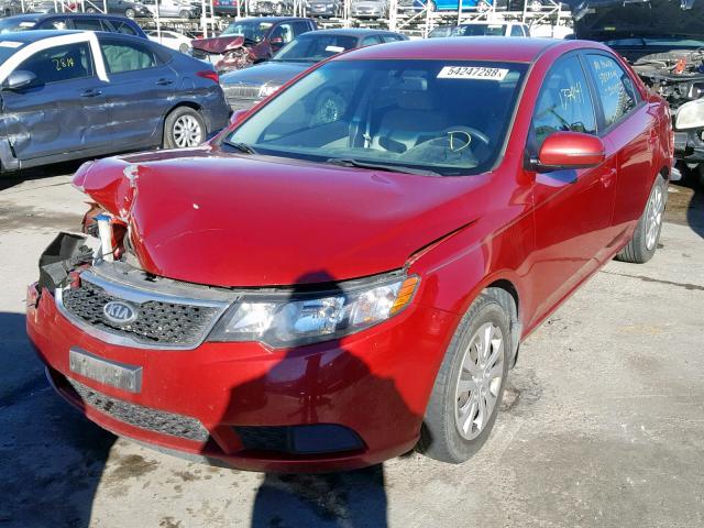 KNAFU4A24B5464983 - 2011 KIA FORTE EX RED photo 2