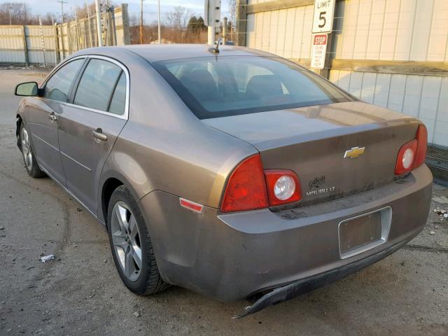 1G1ZC5EB3AF232170 - 2010 CHEVROLET MALIBU 1LT 棕色 照片 3