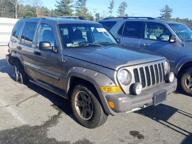 1J4GL38K85W725678 - 2005 JEEP LIBERTY RE GOLD photo 1