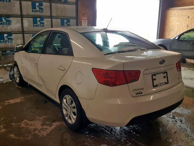 KNAFU4A2XB5391893 - 2011 KIA FORTE EX WHITE photo 3