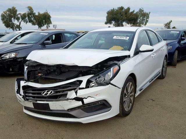 5NPE34AF0FH092228 - 2015 HYUNDAI SONATA SPO WHITE photo 2