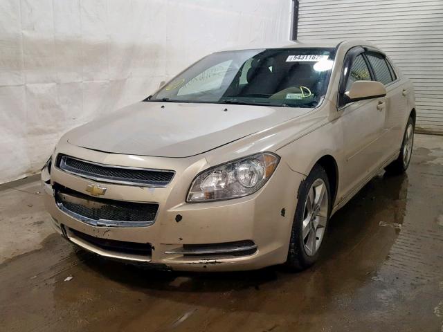 1G1ZH57B794161934 - 2009 CHEVROLET MALIBU 1LT GOLD photo 2