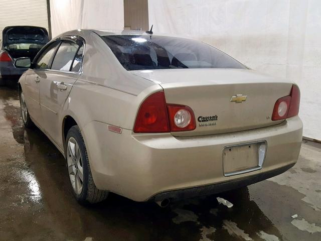 1G1ZH57B794161934 - 2009 CHEVROLET MALIBU 1LT GOLD photo 3