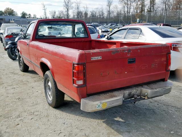 1B7GN14X6JS722656 - 1988 DODGE DAKOTA RED photo 3