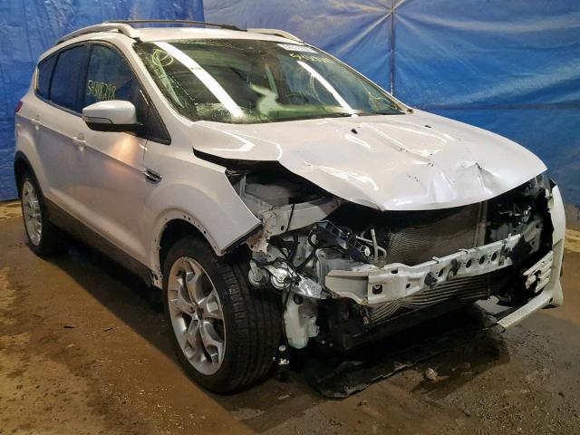 1FMCU9JX8EUB94404 - 2014 FORD ESCAPE TIT WHITE photo 1