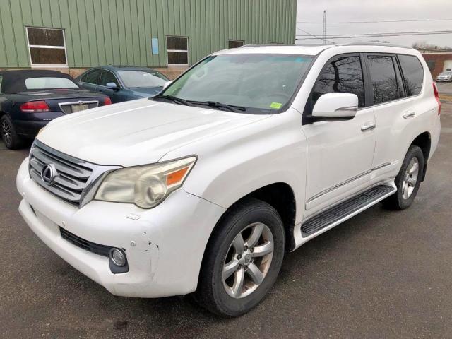 JTJJM7FX7A5001654 - 2010 LEXUS GX PREMIUM WHITE photo 2