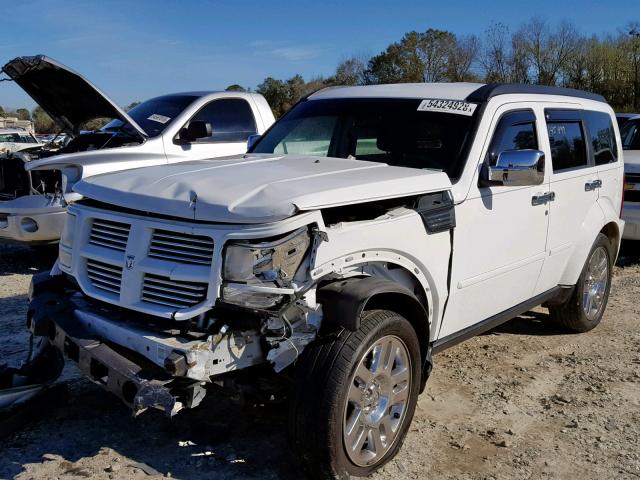 1D4PT4GX8BW517646 - 2011 DODGE NITRO HEAT WHITE photo 2