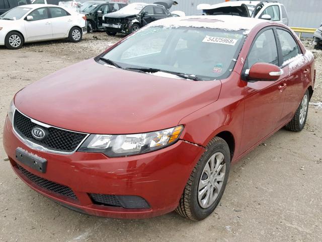 KNAFU4A2XA5880888 - 2010 KIA FORTE EX RED photo 2