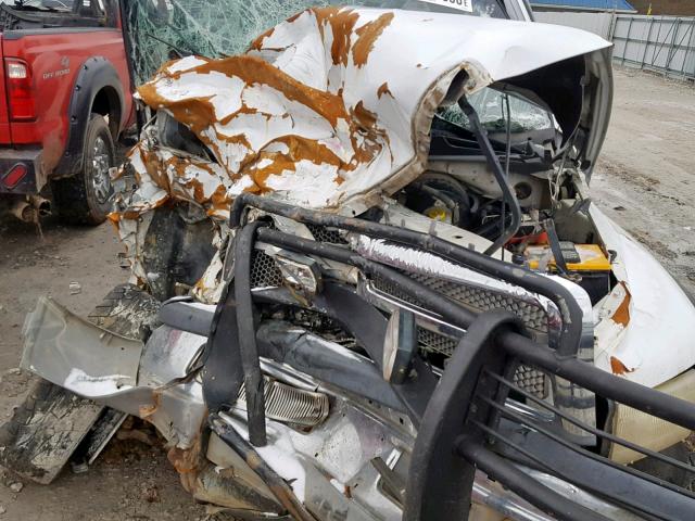 1B7HF13Z11J195748 - 2001 DODGE RAM 1500 WHITE photo 7