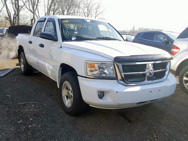 1D7HW48NX8S608042 - 2008 DODGE DAKOTA QUA WHITE photo 1