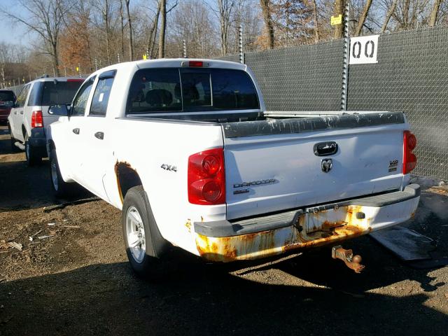 1D7HW48NX8S608042 - 2008 DODGE DAKOTA QUA WHITE photo 3