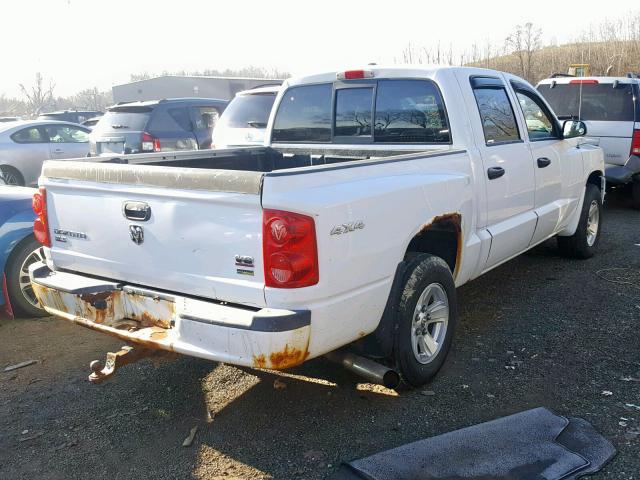 1D7HW48NX8S608042 - 2008 DODGE DAKOTA QUA WHITE photo 4