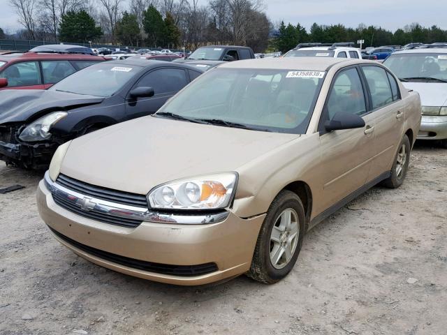 1G1ZT52825F210918 - 2005 CHEVROLET MALIBU LS 米色 照片 2
